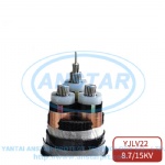 6-3LXKZ-YJLV22 Power cable