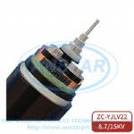 6-4LXKZ-ZC-YJLV22 Power cable