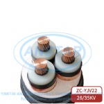 3-1TGY-ZCYJV22Power cable