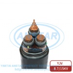 2-2TZY-YJV Power cable