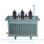 1-SH15-10KV Oil-immersed Transformer